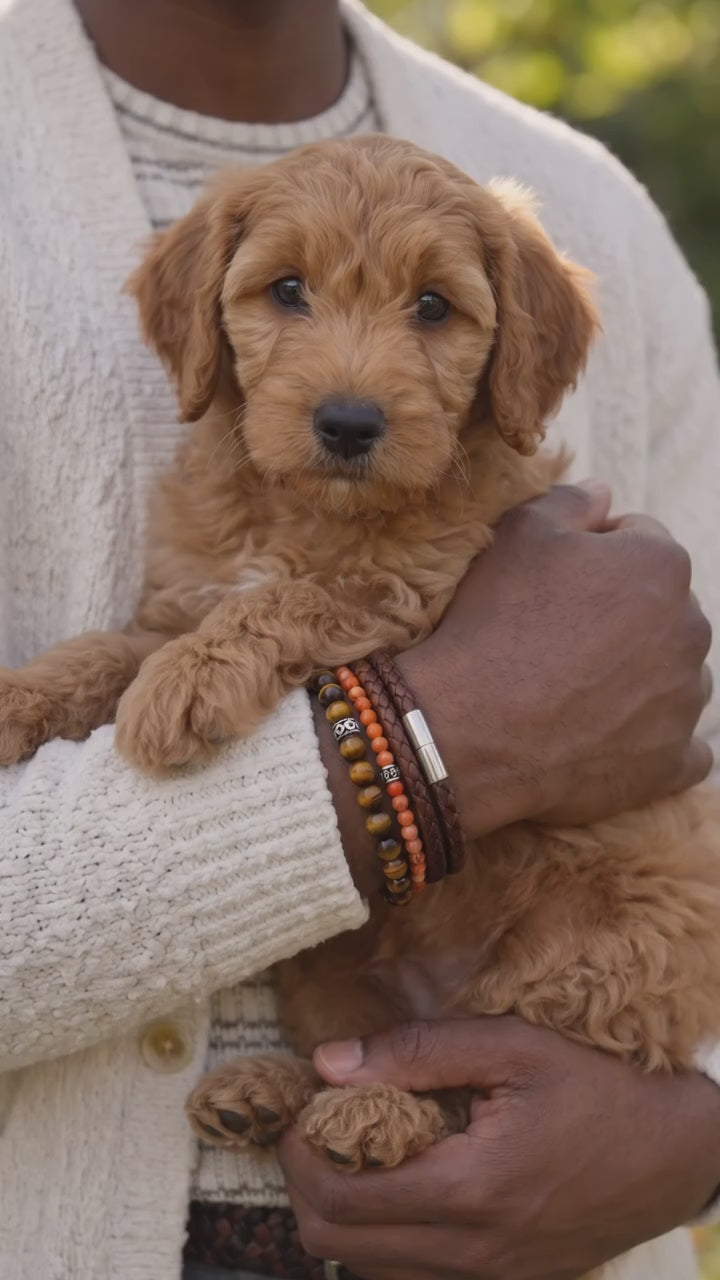 A person holding an adorable puppy and wearing a stack of Tiger Eye and Burnt Orange beaded bracelets and a Chocolate brown woven leather bracelet
